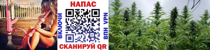 Цена Гаджиево Кокаин  Бутират  МЕФ  Гашиш  Бошки Шишки 