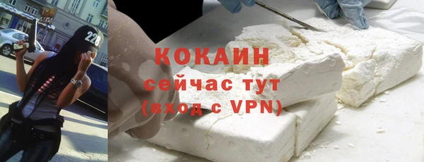 индика Верея