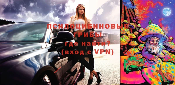 молекула духа Волосово