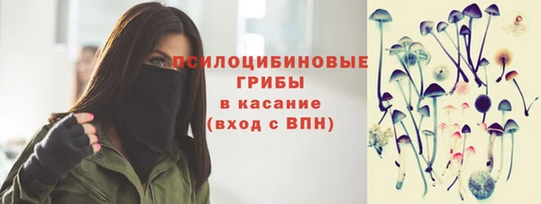 хмурый Верхний Тагил
