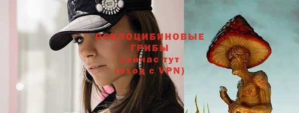 МДПВ Волоколамск