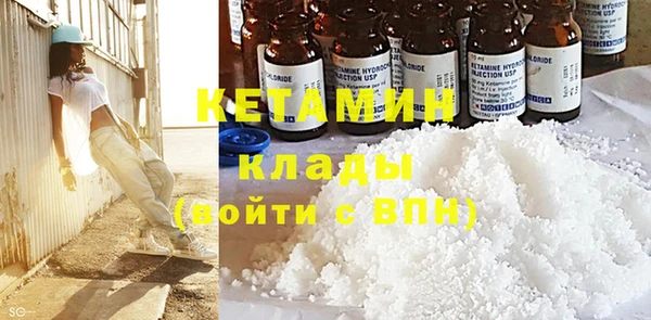 прущие грибы Снежногорск