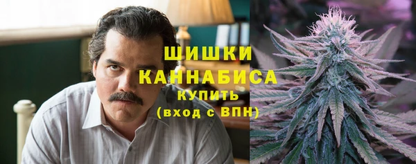 альфа пвп Бородино