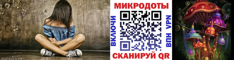 где купить наркоту  Гаджиево  Галлюциногенные грибы Magic Shrooms 
